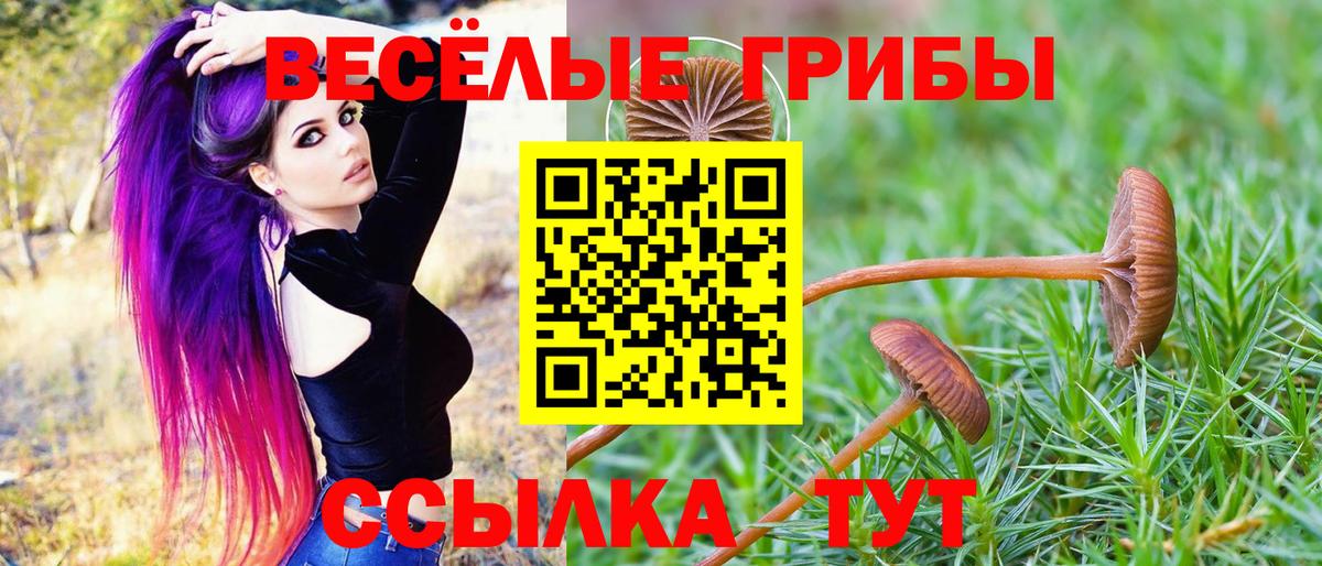 что такое   Псилоцибиновые грибы Psilocybe  Галлюциногенные грибы Cubensis  Вход с VPN  Черкесск 